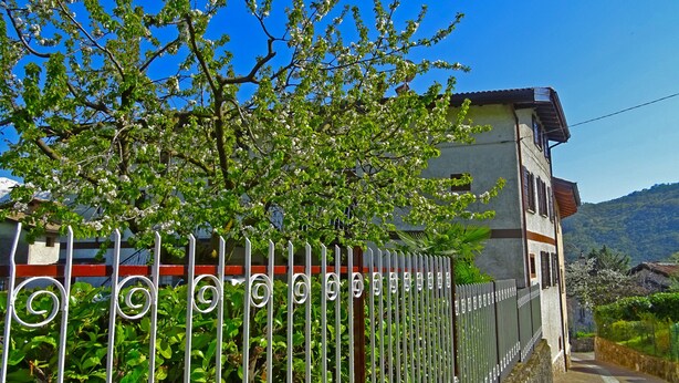 A building with a traditional architectural style, a metal fence, and a tree with white blossoms. - Holideal Casa Luisa (Tremosine)