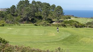 Un terrain de golf où une personne joue, entouré d’arbres et offrant une vue sur l’océan.