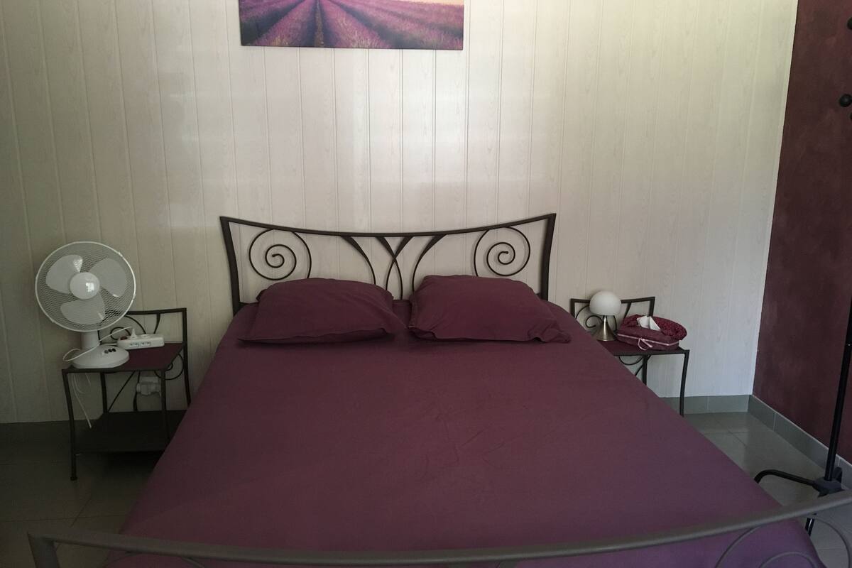 Una cama con estructura metálica, una mesita de noche con lámpara, un ventilador fijado a la pared y un cuadro sobre la cama.