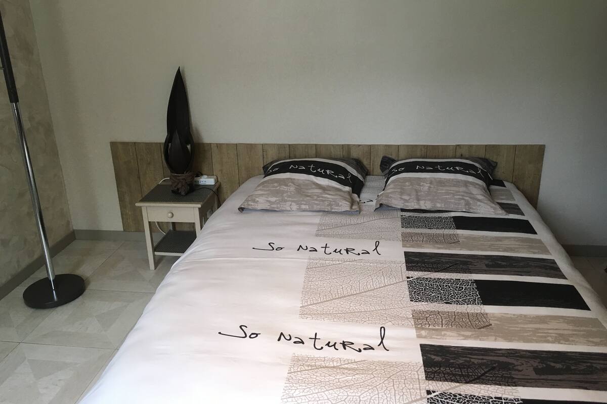 Un dormitorio con cama, dos almohadas, una mesita de noche y una lámpara de pie.