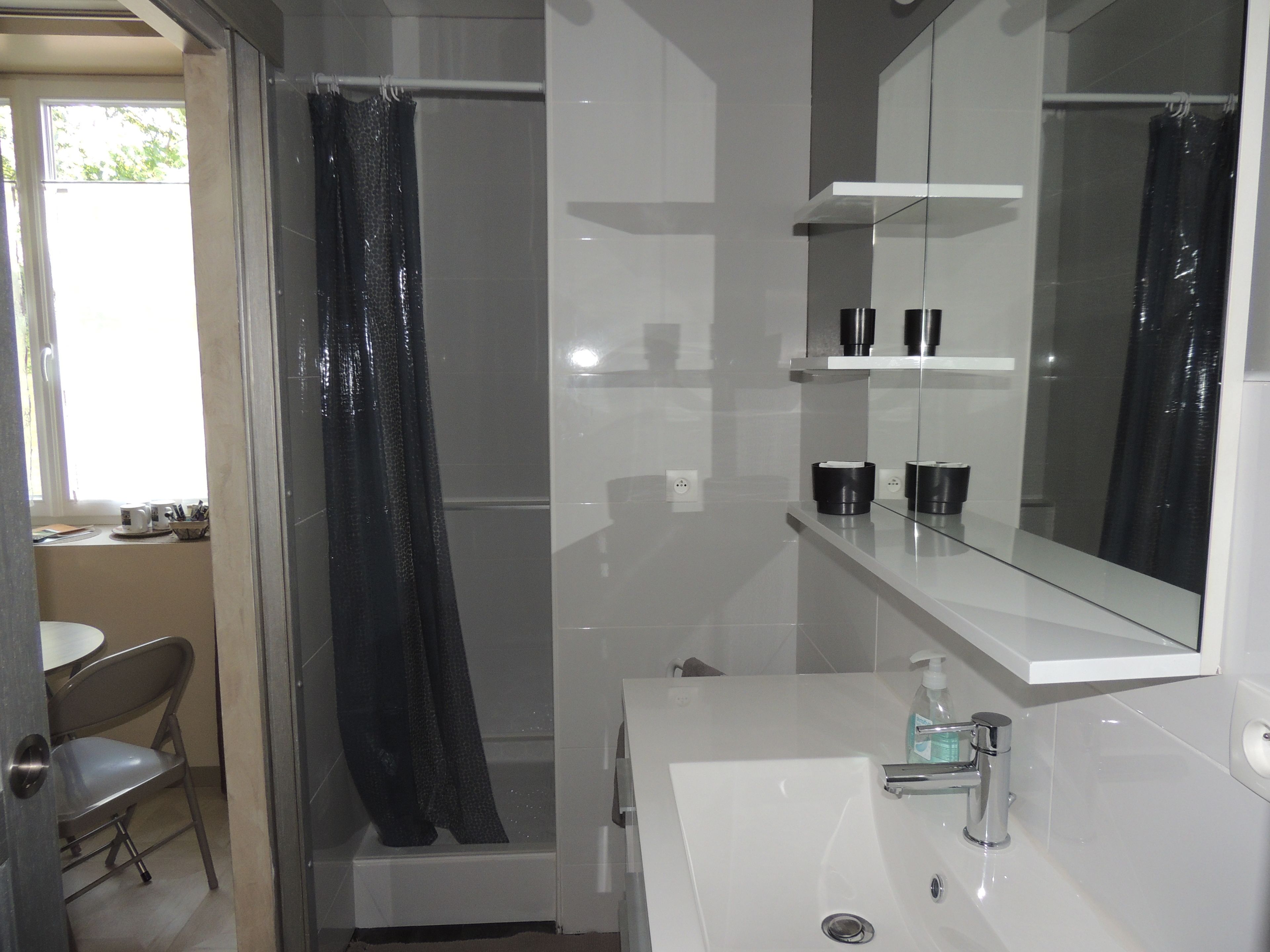 A modern bathroom with a shower, a sink, and a mirror.