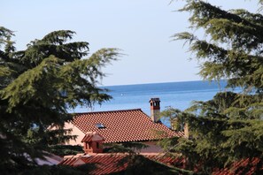 Apartment, 1 Bedroom, Sea View | View from room