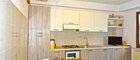 Fridge, microwave, stovetop, electric kettle