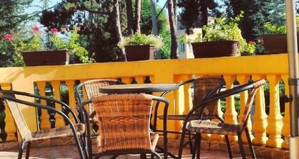 Vila Olivera Niska Banja