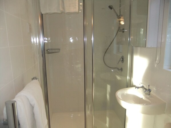 A glass-enclosed shower with a handheld showerhead, a white sink, and a towel rack.