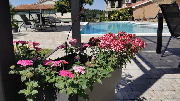A pool area with a large planter of pink flowers, lounge chairs, and a white umbrella. - Apartments with Shared Pool Bertetic (Kanfanar)