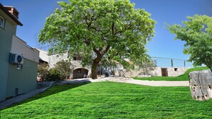 A courtyard with a large tree, stone walls, and a building with a stone facade. - Apartments with Shared Pool Bertetic (Kanfanar)