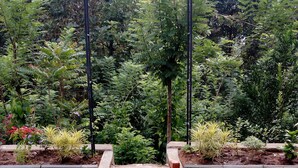 A garden pathway with a metal archway and steps leading to a raised platform. - Cogent Holiday Home (Udunuwara)