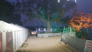 A tented area with a pathway leading to a large tree decorated with lights. - Kumbh Luxury Tents (Prayagraj)