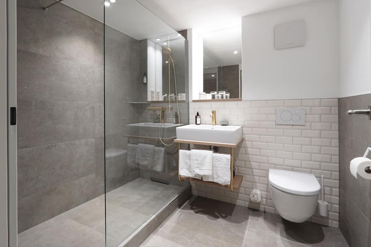 premium double room | bathroom | shower, hydromassage showerhead, free toiletries, hair dryer