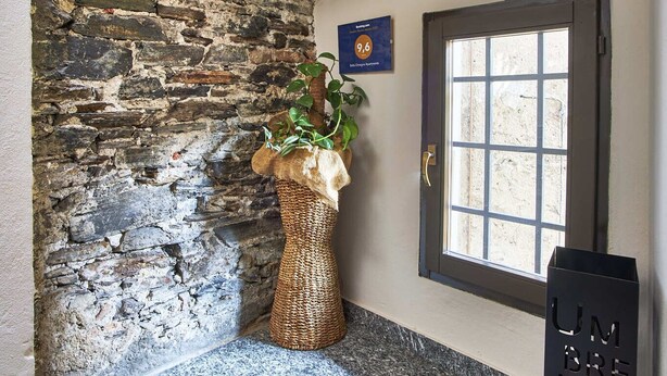 A room with a stone wall, a potted plant, a door, and a sign.