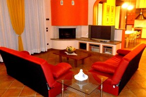 Fernseher, Kamin, DVD-Player