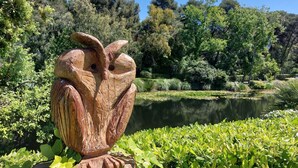 A wooden sculpture of an owl in a park with a pond and lush greenery.
