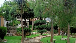 Un jardin bien entretenu, avec des marches en pierre menant à un espace aménagé pour s’asseoir, entouré de différentes espèces d’arbres et d’arbustes.