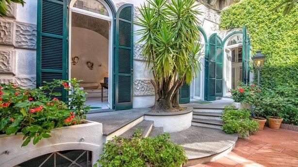 Une cour avec un arbre, des plantes en pot et un banc en pierre.