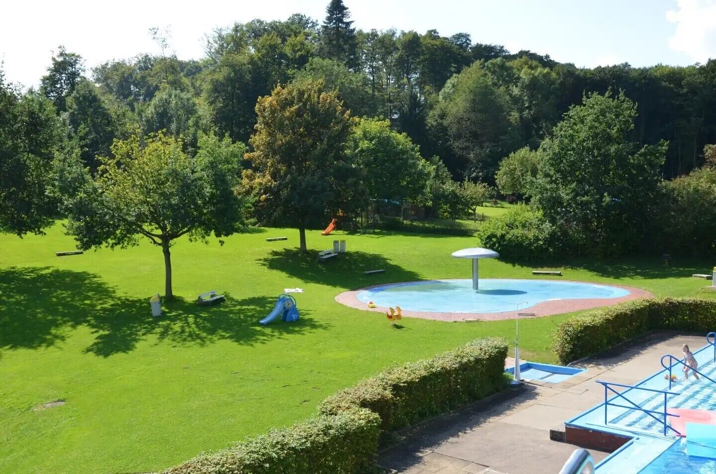 Een park met een zwembad, speeltoestellen en een grote boom.