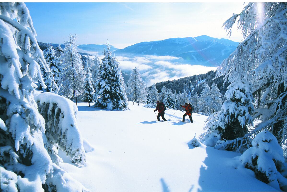 A snowy landscape with two people skiing.