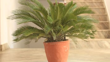 Un sauna, tratamientos corporales, aromaterapia