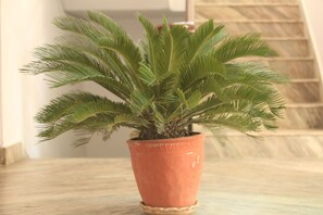 Een sauna, lichaamsbehandelingen, aromatherapie, hotstone-massages