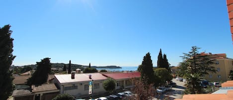 Apartment, 1 Bedroom, Balcony | Balcony view