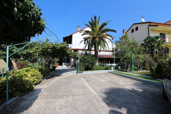 A residential street with houses, a palm tree, and greenery.