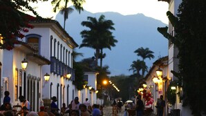 Una calle adoquinada flanqueada por edificios blancos, palmeras y farolas.