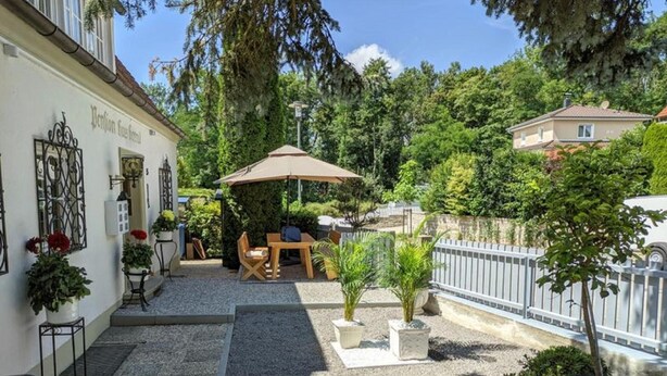 Une cour avec une table et des chaises de patio, entourée de plantes en pot et d’une clôture.