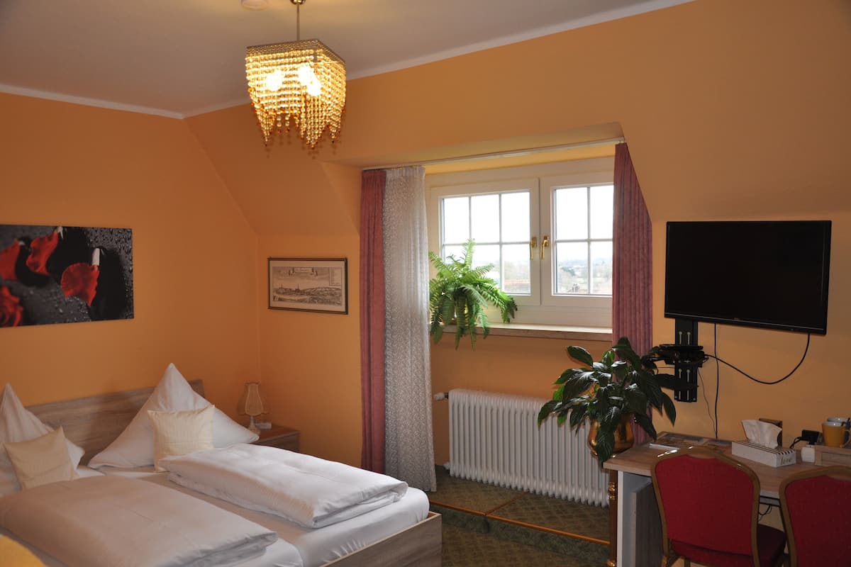 A hotel room with a bed, a desk, a television, a window with curtains, a radiator, and a plant.