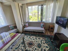 Apartamento junior, cocina, vistas al jardín | Zona de estar | Televisión de pantalla plana de 82 cm con canales por satélite