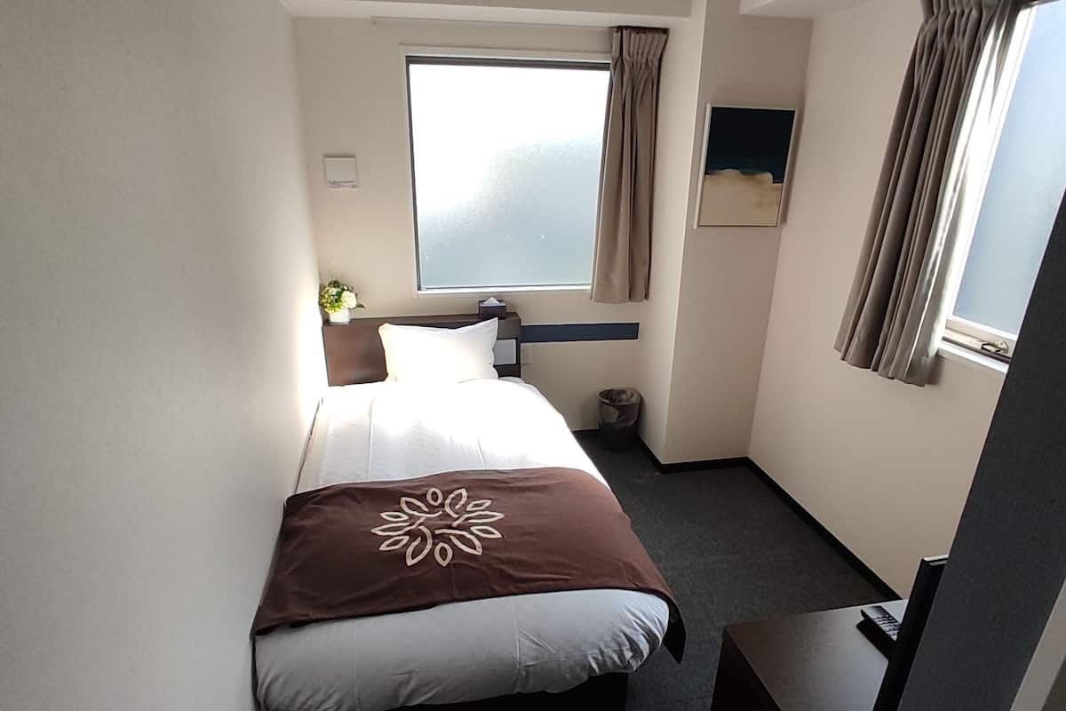 Une chambre d’hôtel avec un lit, un petit bureau, une fenêtre avec des rideaux, un téléviseur fixé au mur et une plante.