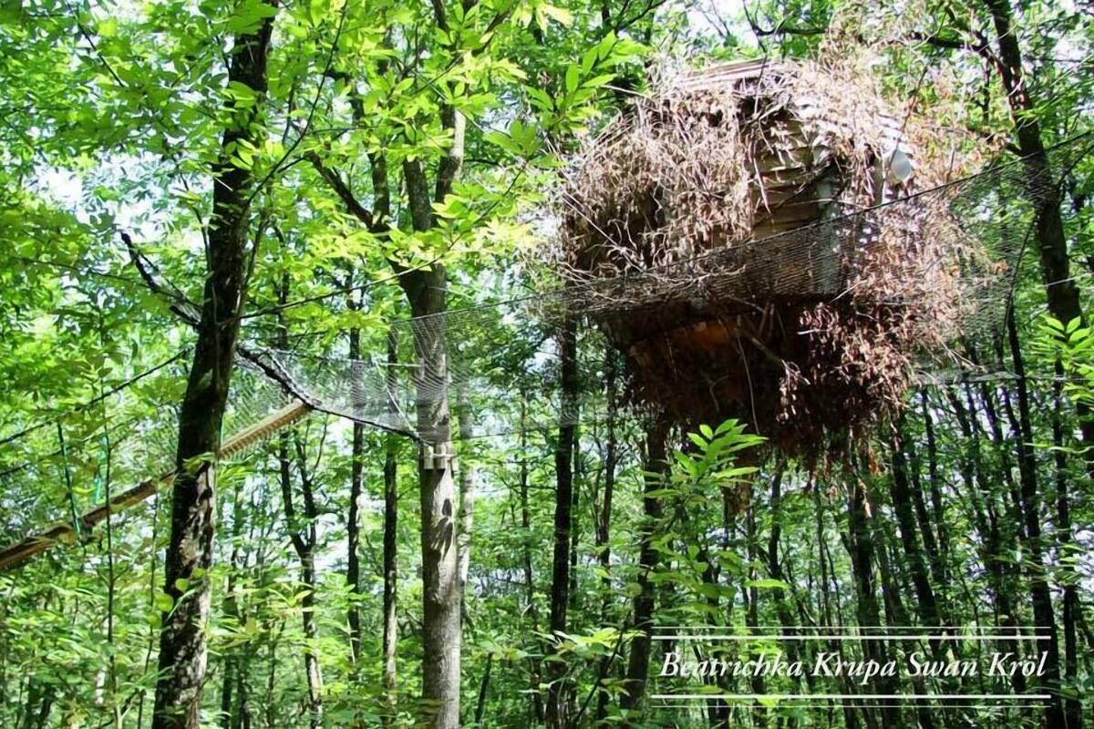 A treehouse with a wire mesh roof, surrounded by dense forest.