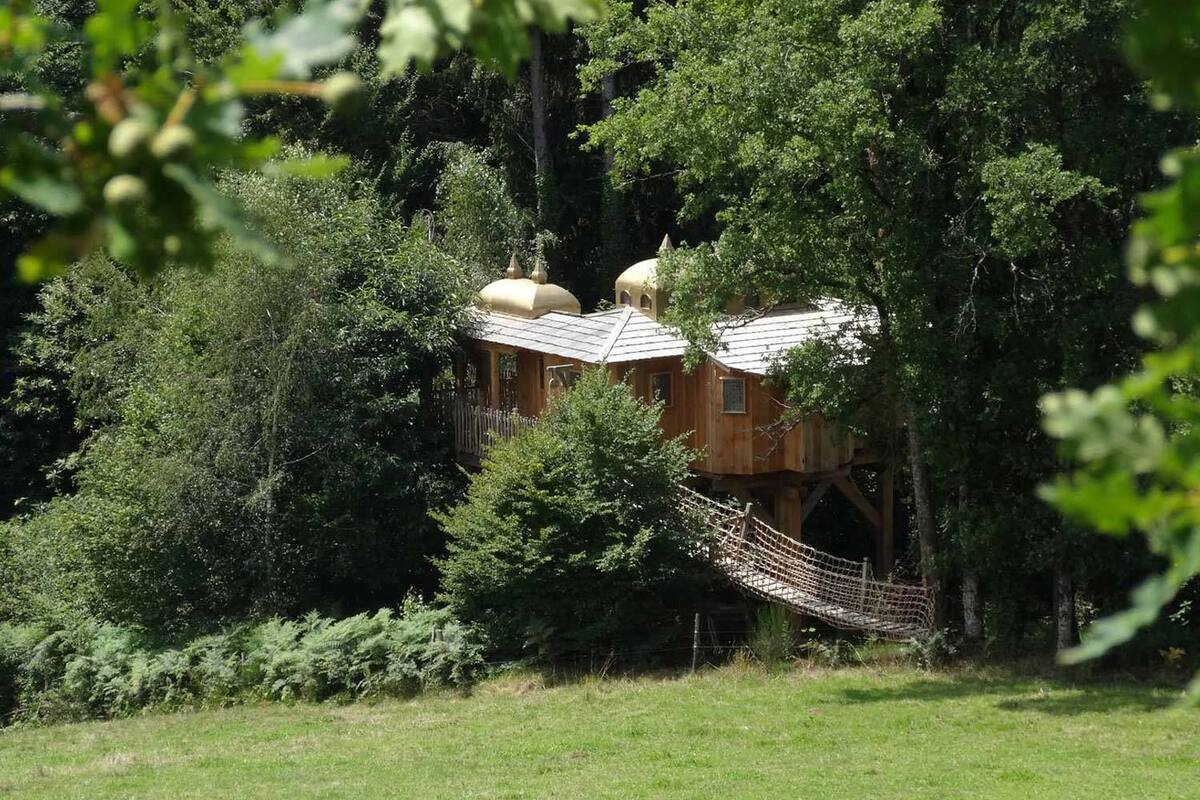 A wooden treehouse with a rope bridge, surrounded by dense greenery.