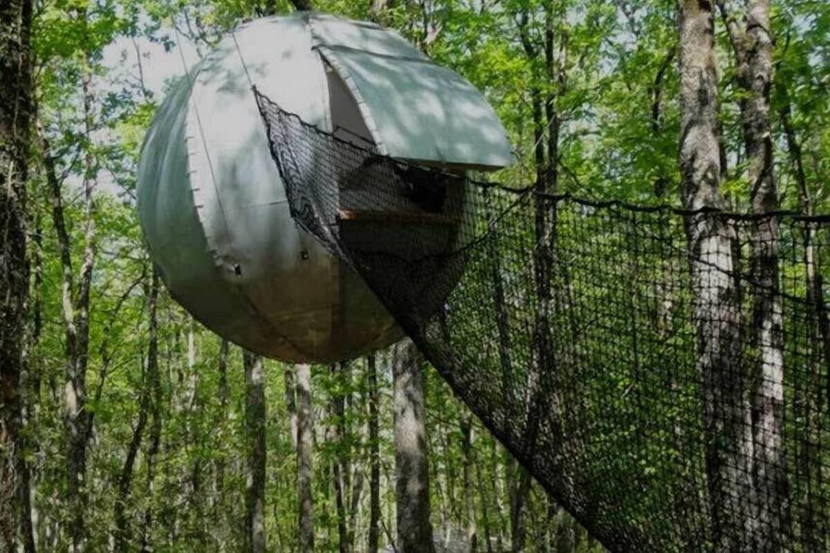 A spherical structure with a netted entrance, surrounded by a forested area.