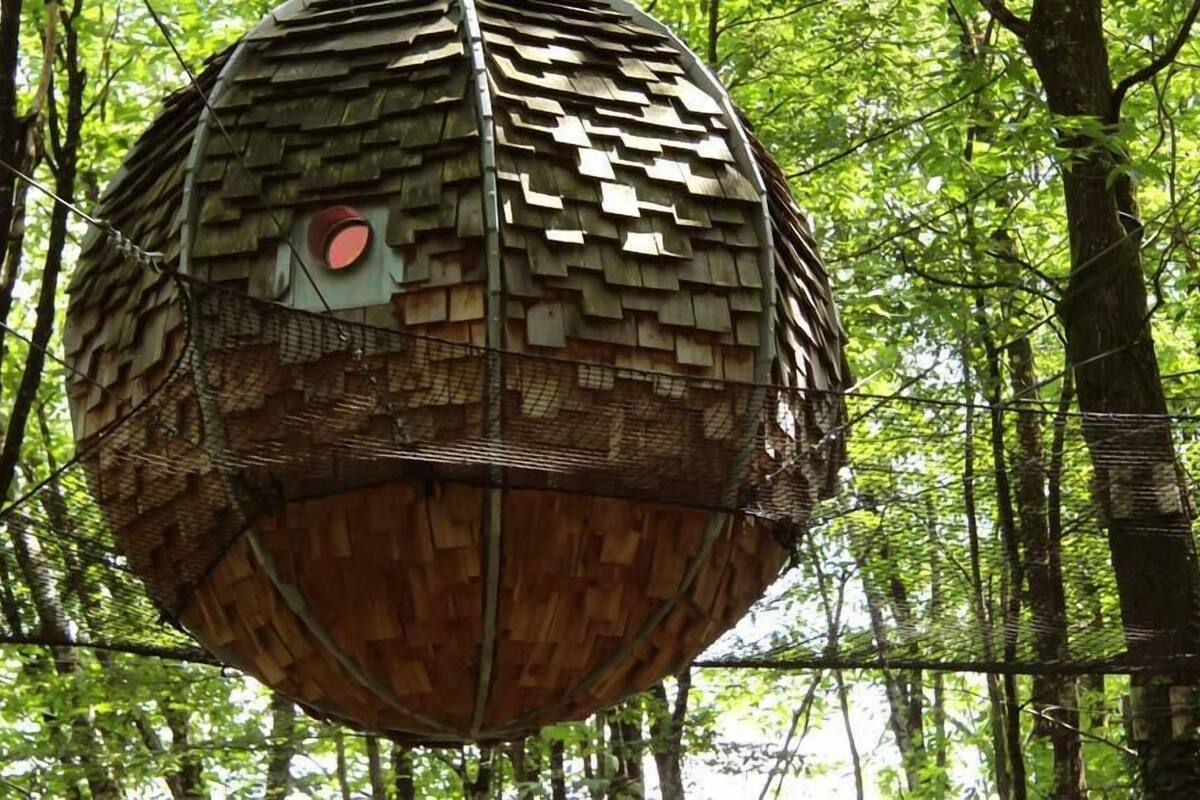 A spherical structure made of wooden shingles, suspended in a forest.