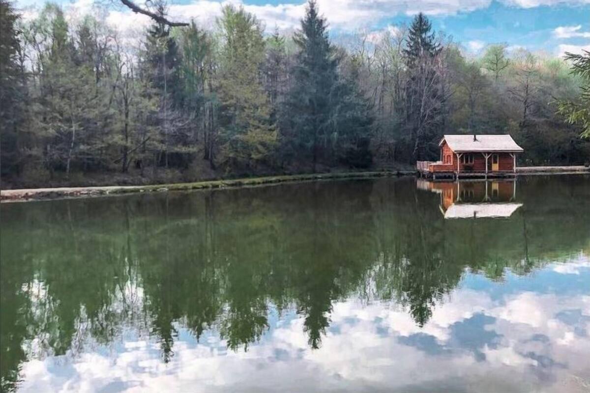 A cabin on a lake surrounded by trees.