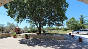 A patio area with a large tree, potted plants, and a stone wall.