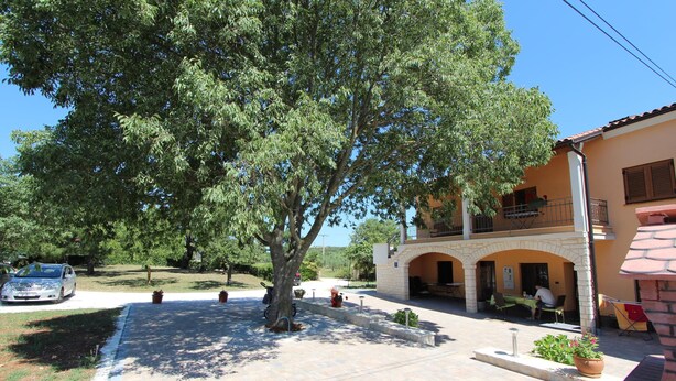 A courtyard with a large tree, a building with a balcony, and a car parked nearby.
