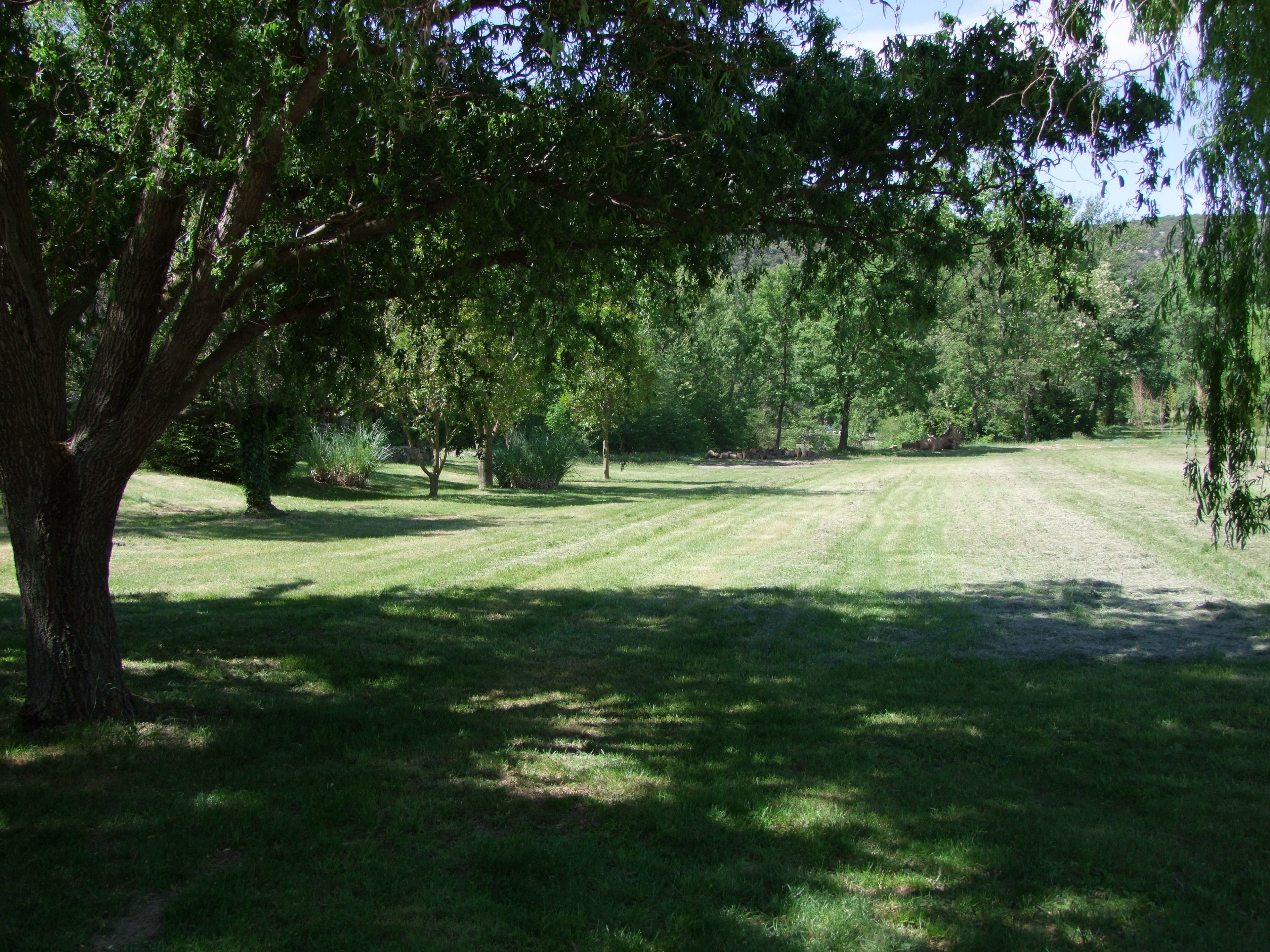 Une zone herbeuse avec des arbres et un ciel dégagé.