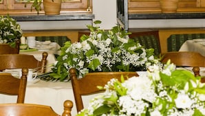 A dining area with wooden chairs and tables, potted plants, and a window with a view of greenery. - Naturfreundehaus Rahnenhof (Carlsberg)