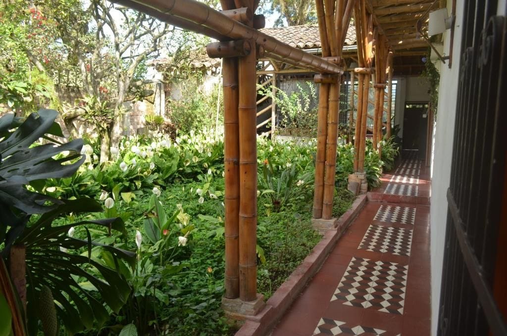 Un corredor cubierto con columnas de bambú, rodeado de abundante vegetación y baldosas con diseños.