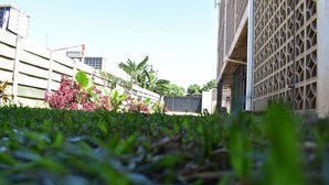 Pátio com vista para edifícios, uma cerca e vegetação.