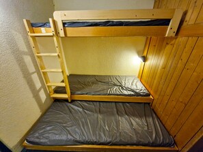 Un lit superposé avec une échelle, un matelas et des murs en bois.