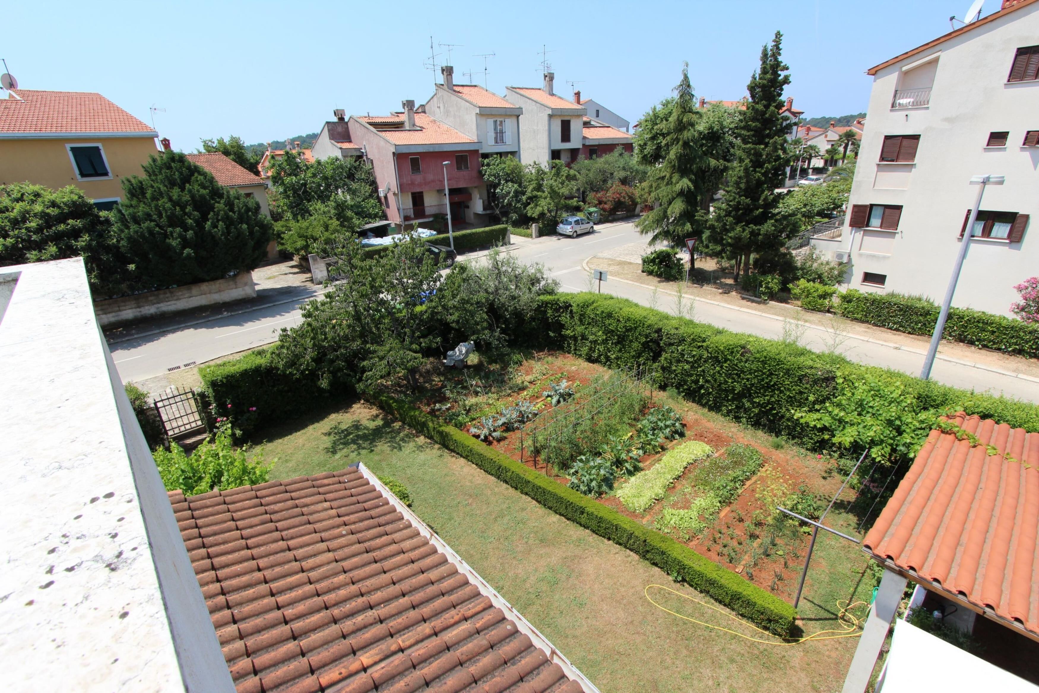 Un quartier résidentiel avec des maisons à étages, un jardin où poussent différentes espèces de plantes et un ciel dégagé.