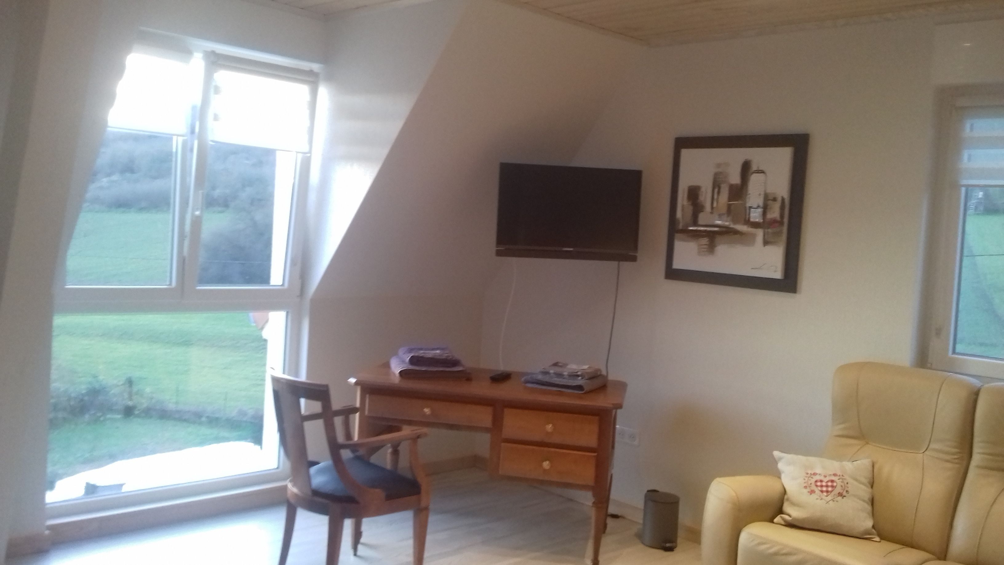 Ein Zimmer mit Schreibtisch, Stuhl, Fernseher und einer Couch.