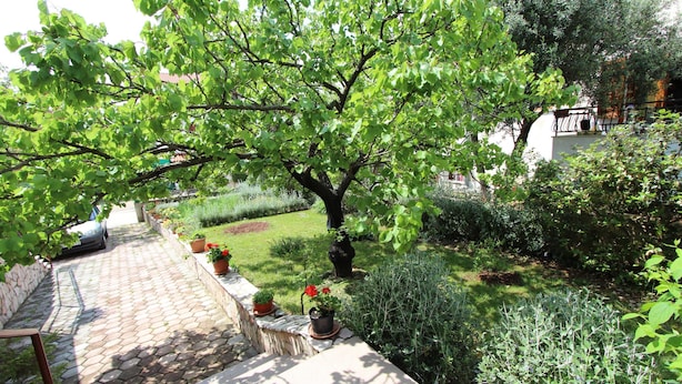 A garden with a paved walkway, potted plants, and a variety of greenery. - Guests House Sanja (Rovinj)