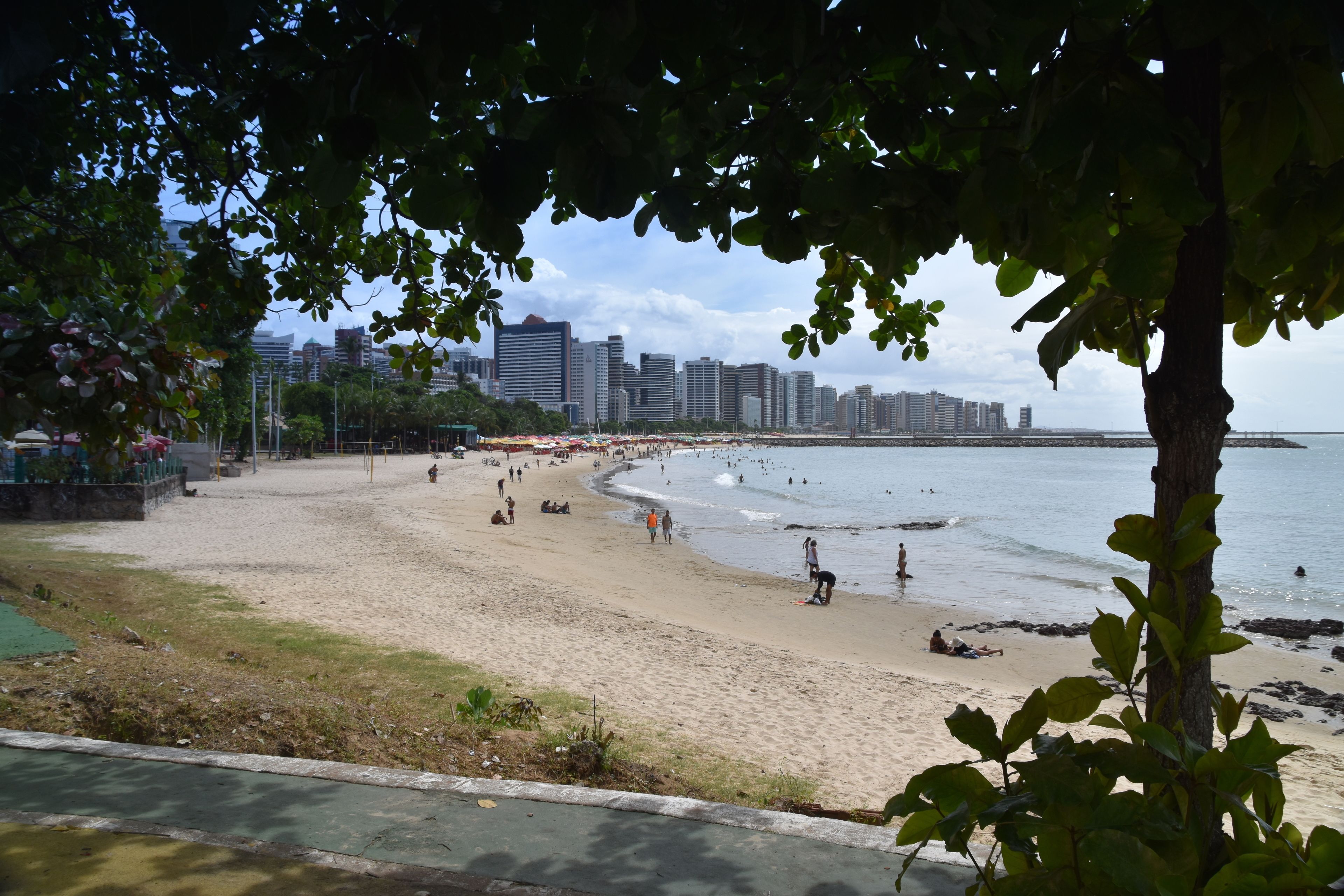 Una playa con gente, un horizonte urbano de fondo y un árbol en primer plano.