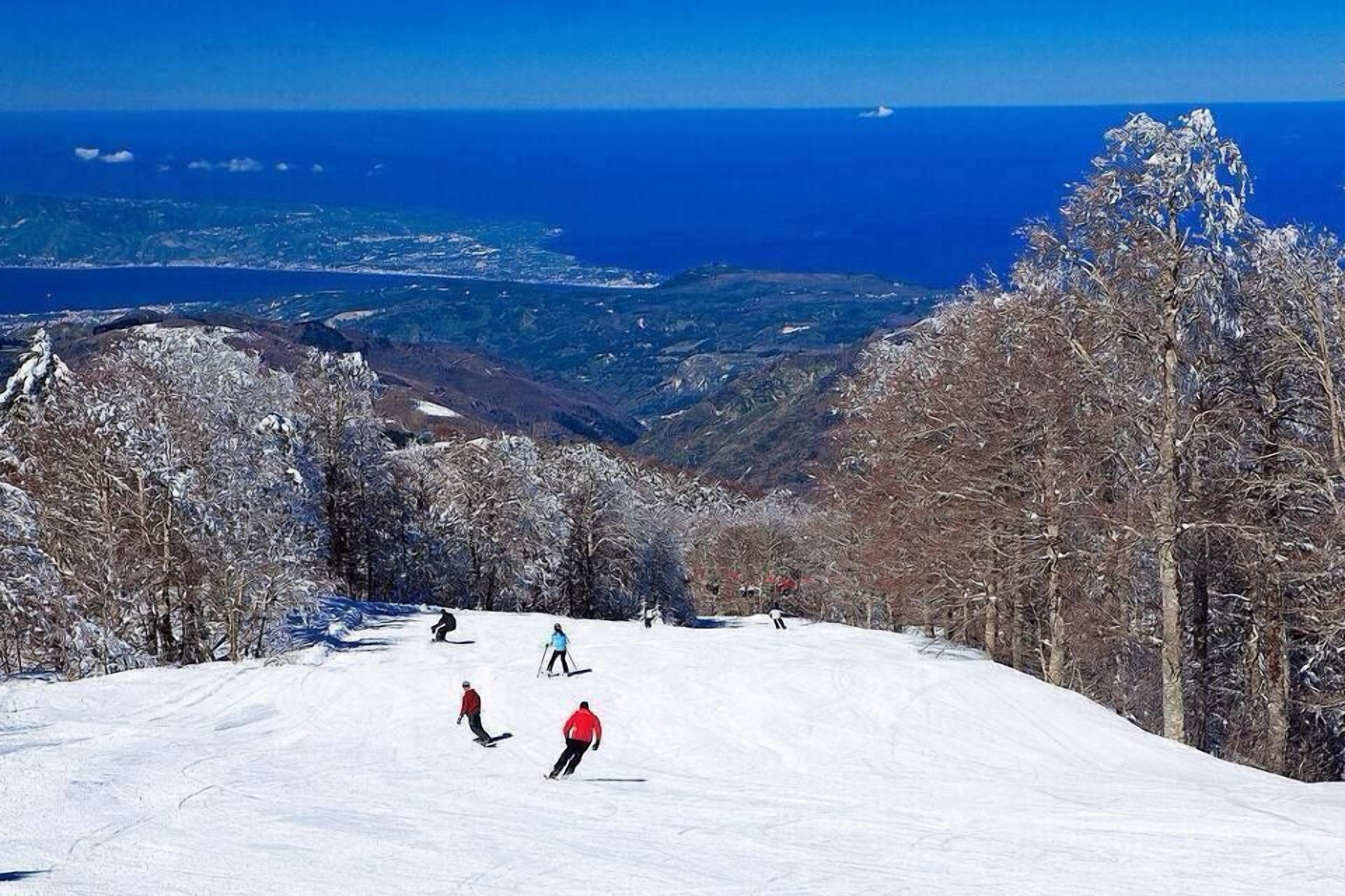 Pista de esquí nevada con esquiadores, vistas despejadas de la costa y una zona boscosa.