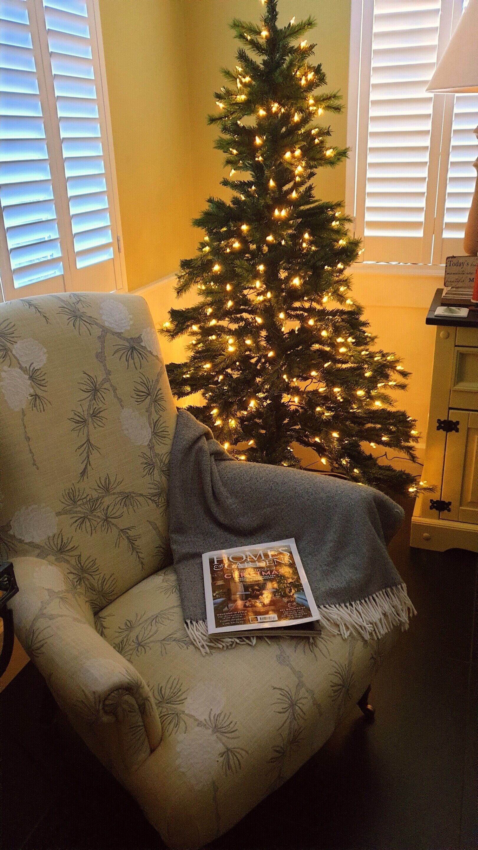 Foto - Wisteria Haze