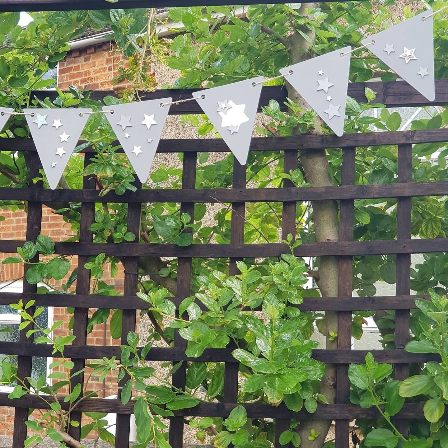 Foto - Wisteria Haze