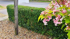 Letrero de Wisteria Haze Traditional Bed & Breakfast en Cranfield, con un seto y flores rosadas de fondo.